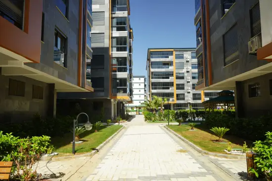 Gallery image 10