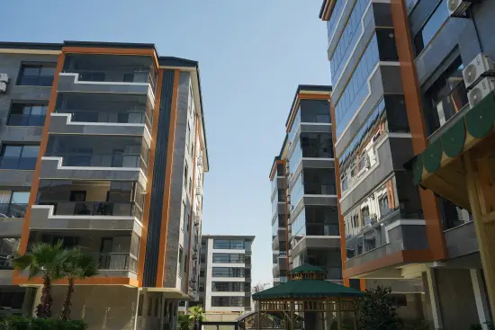 Gallery image 4